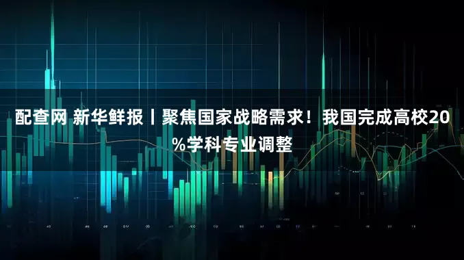 配查网 新华鲜报丨聚焦国家战略需求！我国完成高校20%学科专业调整