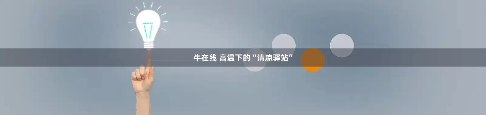 牛在线 高温下的“清凉驿站”