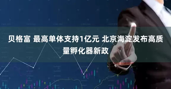 贝格富 最高单体支持1亿元 北京海淀发布高质量孵化器新政