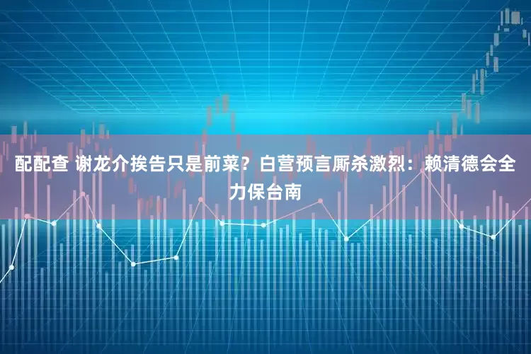 配配查 谢龙介挨告只是前菜？白营预言厮杀激烈：赖清德会全力保台南