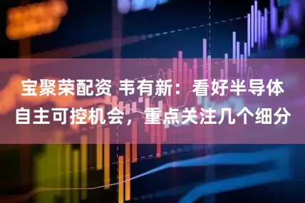 宝聚荣配资 韦有新：看好半导体自主可控机会，重点关注几个细分