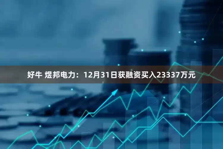 好牛 煜邦电力：12月31日获融资买入23337万元